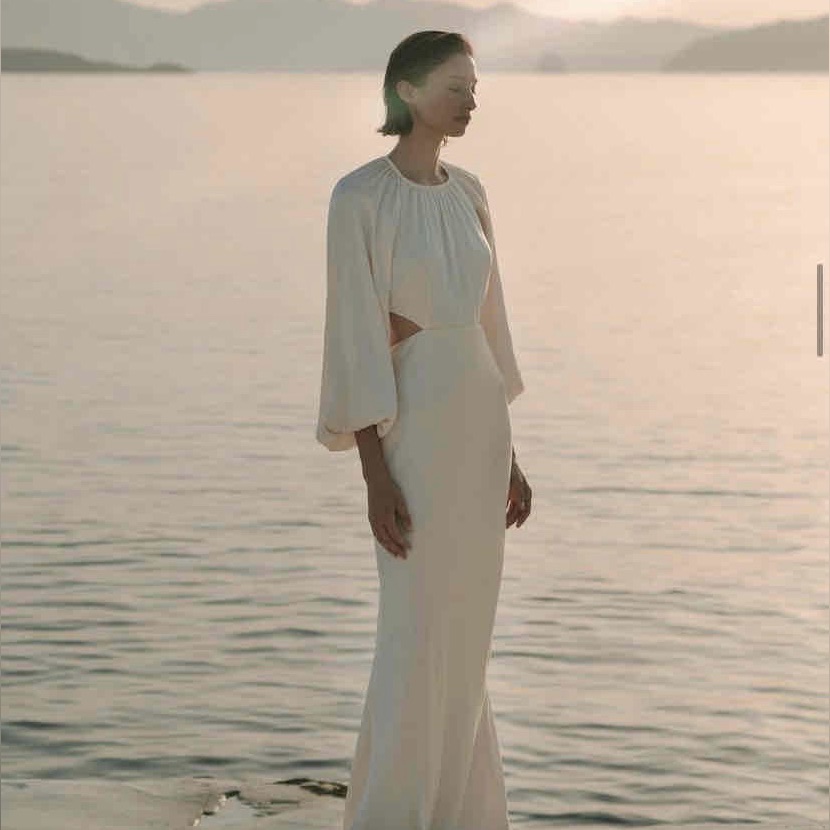 Nwt Shona Joy La Lune Balloon Sleeve Open Back Maxi Dress Sz 4